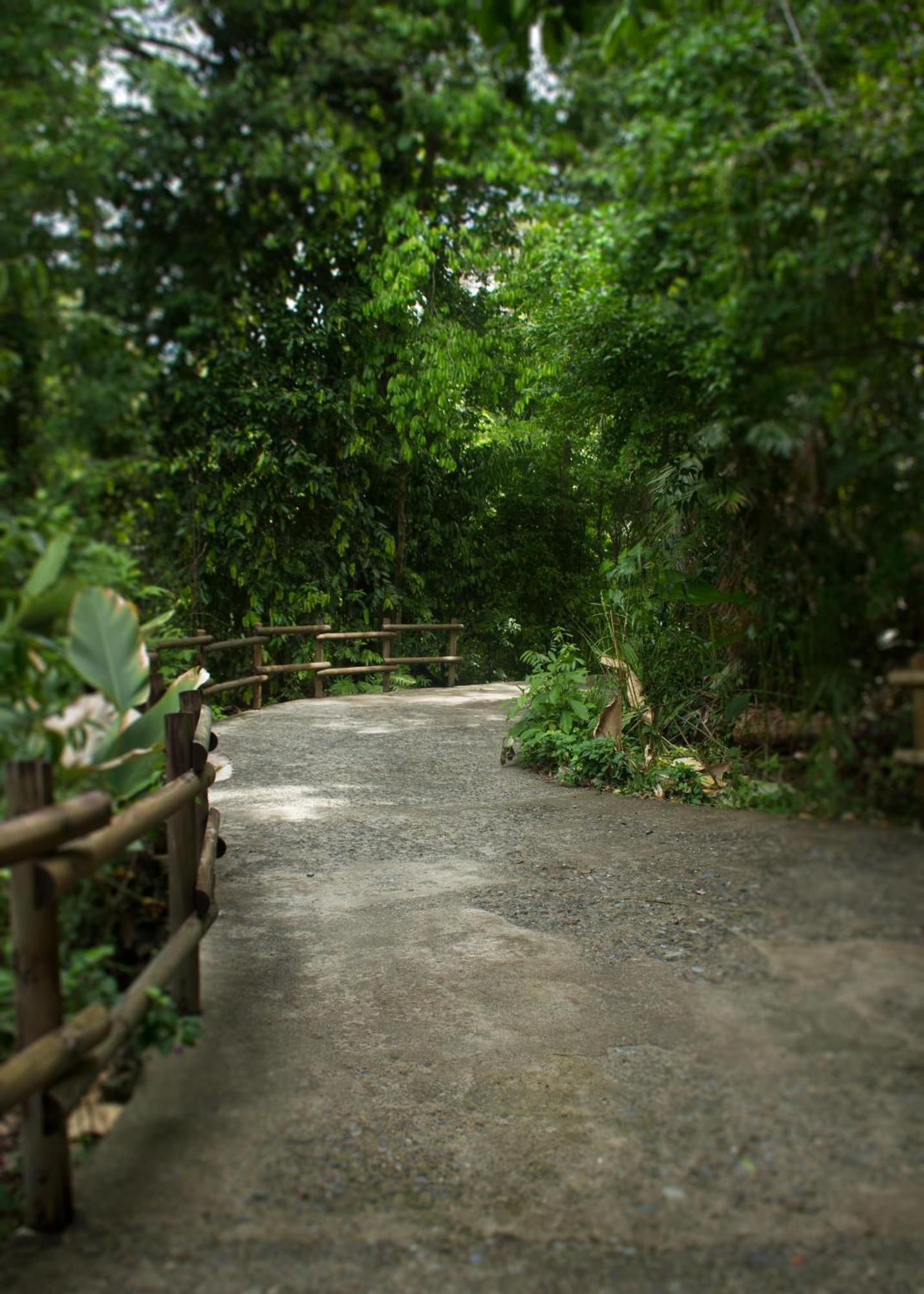 Arenas Del Mar Beachfront & Rainforest Resort Member Of The Cayuga Collection Manuel Antonio Kültér fotó