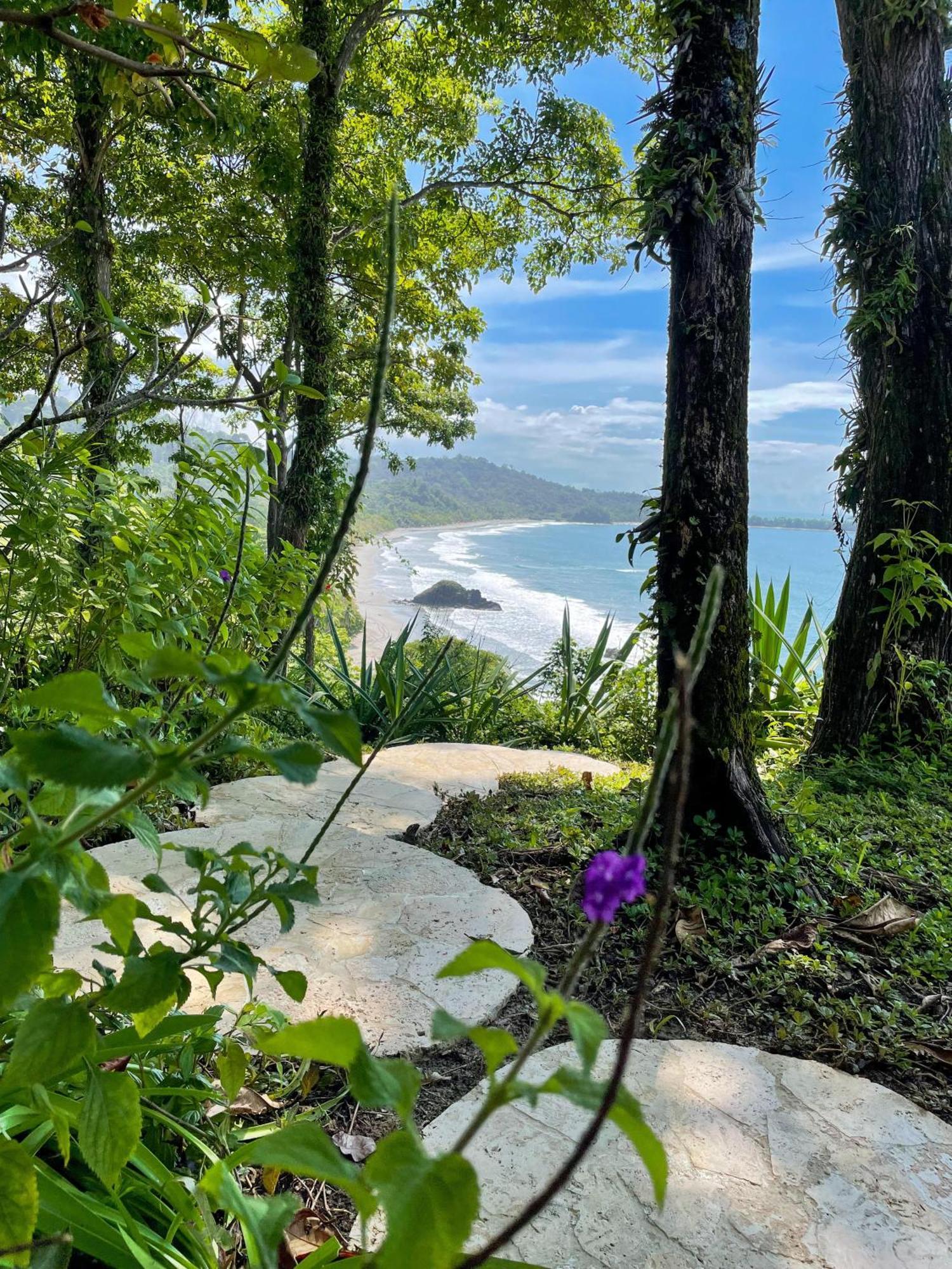 Arenas Del Mar Beachfront & Rainforest Resort Member Of The Cayuga Collection Manuel Antonio Kültér fotó